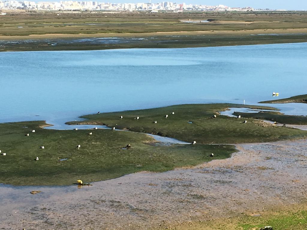 Apartamentos Barracuda Faro Dış mekan fotoğraf